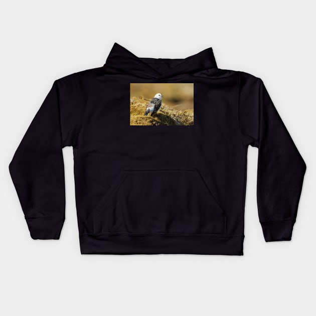 Snow bunting Kids Hoodie by orcadia